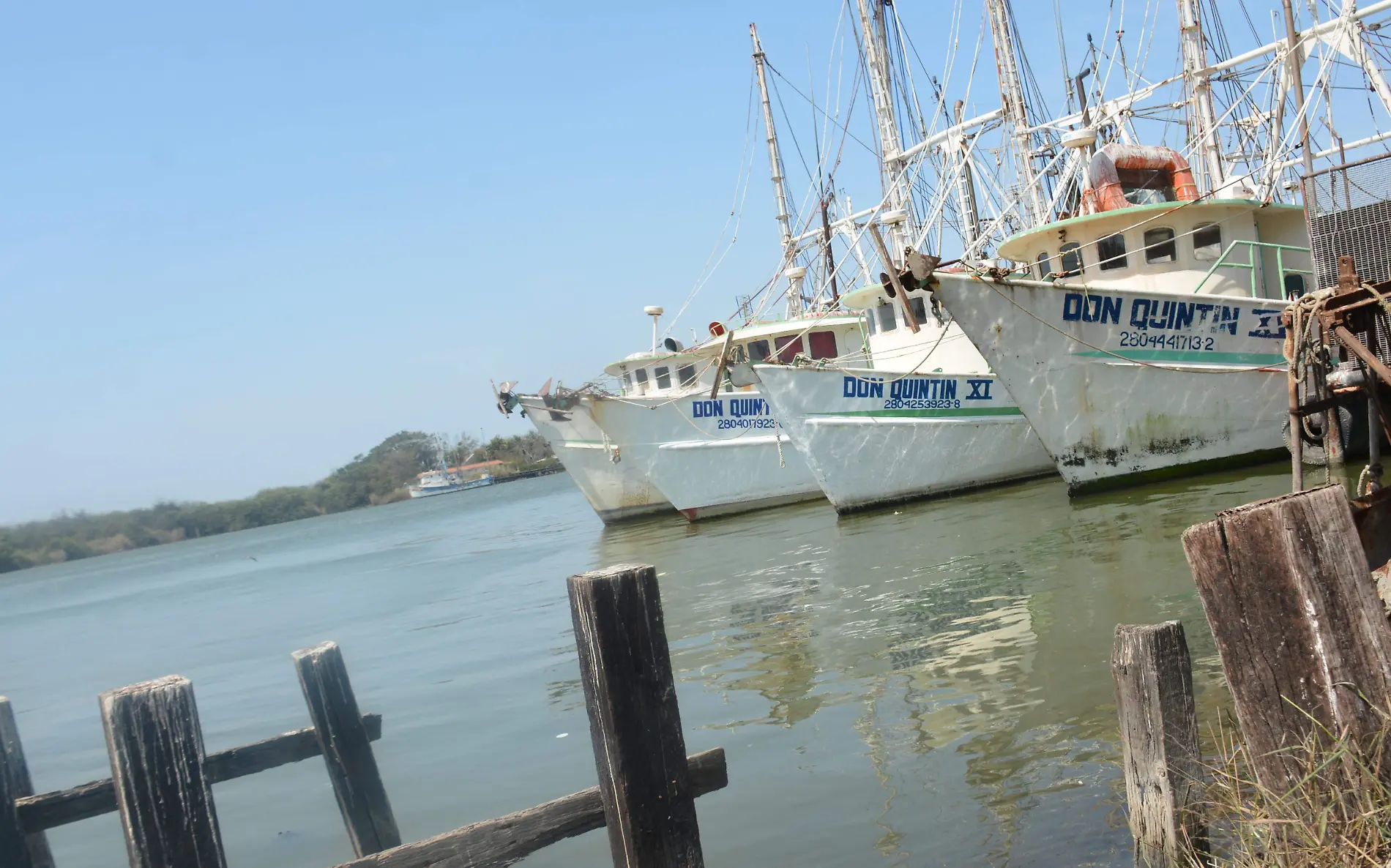 La colonia Morelos de Tampico sirve de refugio para la flota camaronera